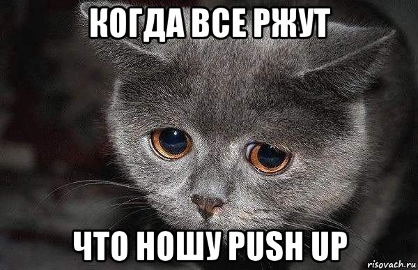 когда все ржут что ношу push up, Мем  Грустный кот