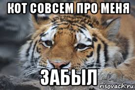 Совсем забыла. Совсем забыл про меня. Ты про меня совсем забыл. Совсем забыл про меня картинки. Ты про меня совсем забыл картинки.