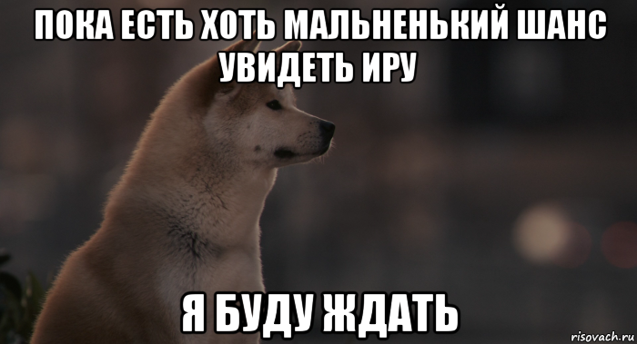 Ладно будем ждать. Хатико ждал и я подожду. Хатико ждал и я подожду Мем. Мем жду ответа. Хатико устал ждать.