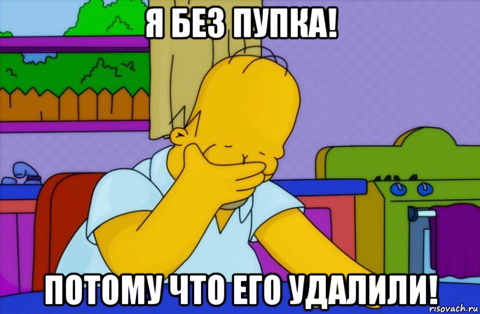 я без пупка! потому что его удалили!, Мем Homer simpson facepalm