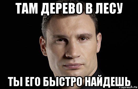 Бывший быстро нашел. Кличко если шарик лопнет. Быстро найти. Я нашел его Мем. Там в лесу есть дерево ты его сразу найдёшь.