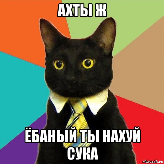 ахты ж ёбаный ты нахуй сука, Мем  Кошечка