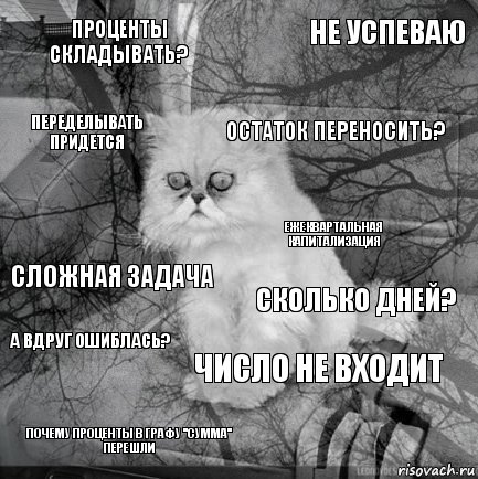 проценты складывать? Сколько дней? Остаток переносить? Почему проценты в графу ''сумма'' перешли Сложная задача Не успеваю Число не входит Переделывать придется А вдруг ошиблась? Ежеквартальная капитализация, Комикс  кот безысходность