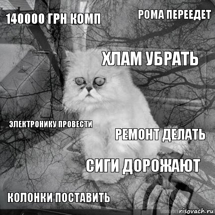 140000 грн комп Ремонт делать Хлам убрать Колонки поставить Электронику провести Рома переедет Сиги дорожают   , Комикс  кот безысходность