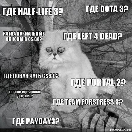 где HALF-LIFE 3? ГДЕ PORTAL 2? ГДЕ Left 4 Dead? ГДЕ PAYDAY3? ГДЕ НОВАЯ ЧАТЬ CS:GO? ГДЕ DOTA 3? ГДЕ TEAM FORSTRESS 3? когда нормальные обновы в cs:go? почему игры такие дорогие? , Комикс  кот безысходность