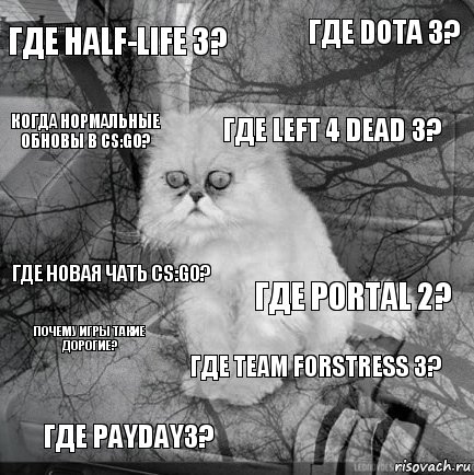 где HALF-LIFE 3? ГДЕ PORTAL 2? ГДЕ Left 4 Dead 3? ГДЕ PAYDAY3? ГДЕ НОВАЯ ЧАТЬ CS:GO? ГДЕ DOTA 3? ГДЕ TEAM FORSTRESS 3? когда нормальные обновы в cs:go? почему игры такие дорогие? , Комикс  кот безысходность