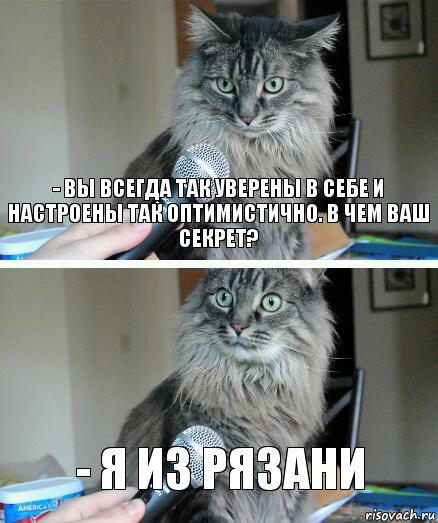 - Вы всегда так уверены в себе и настроены так оптимистично. В чем ваш секрет? - Я из Рязани, Комикс  кот с микрофоном