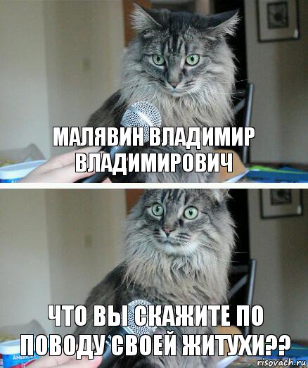 Малявин Владимир Владимирович что вы скажите по поводу своей житухи??, Комикс  кот с микрофоном