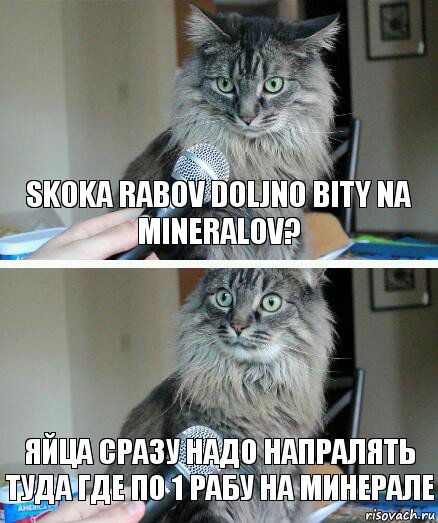 skoka rabov doljno bity na mineralov? яйца сразу надо напралять туда где по 1 рабу на минерале, Комикс  кот с микрофоном