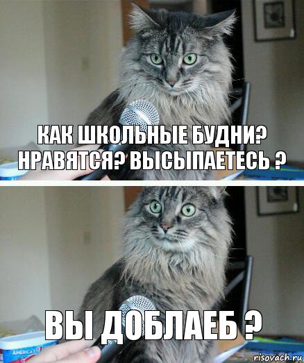 Как школьные будни? нравятся? высыпаетесь ? вы доблаеб ?, Комикс  кот с микрофоном