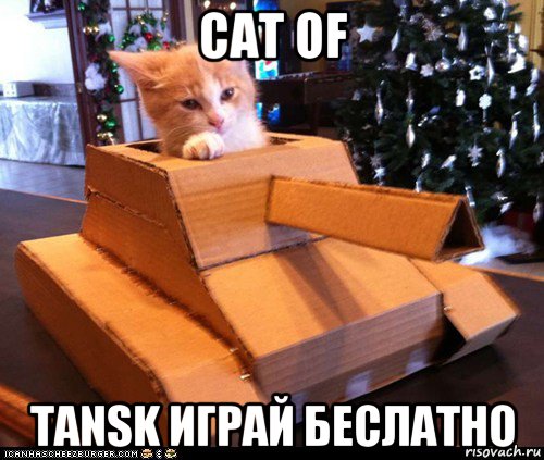 cat of tansk играй беслатно