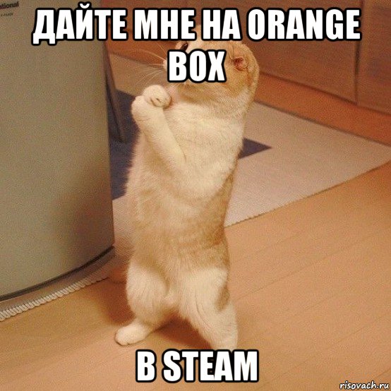 дайте мне на orange box в steam, Мем  котэ молится