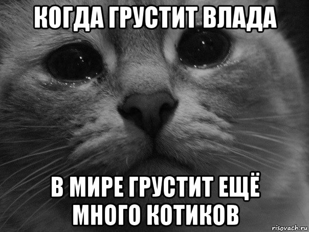 Грустный мем звук. Кот Мем. Коты мемы. Мемы с котами и надписями.