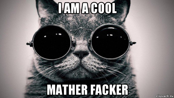 i am a cool mather facker, Мем Котоматрица