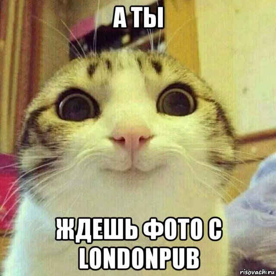 а ты ждешь фото с londonpub, Мем       Котяка-улыбака