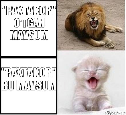 "PAXTAKOR" o'tgan mavsum "Paxtakor" bu mavsum, Комикс Лев и котенок