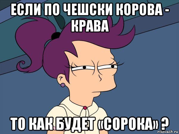 если по чешски корова - крава то как будет «сорока» ?, Мем Мне кажется или (с Лилой)