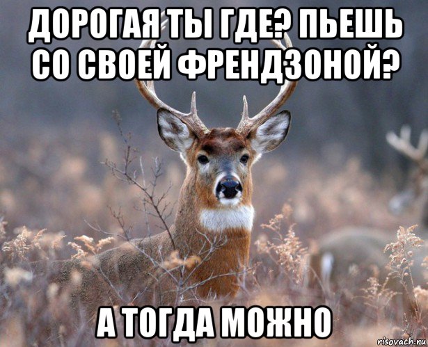 дорогая ты где? пьешь со своей френдзоной? а тогда можно, Мем   Наивный олень