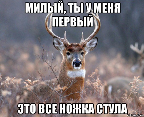 милый, ты у меня первый это все ножка стула