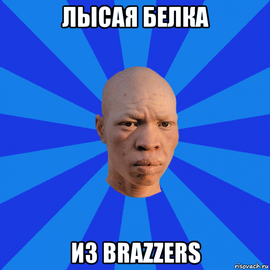 лысая белка из brazzers, Мем НЕДОВОЛЬНЫЙ АЛЬБИНОС