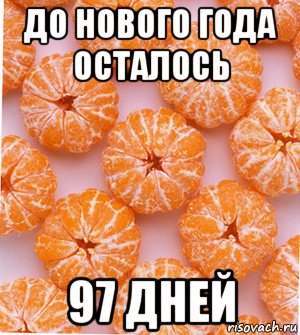 до нового года осталось 97 дней, Мем  НОВОГОДНИЕ СЕМКИ