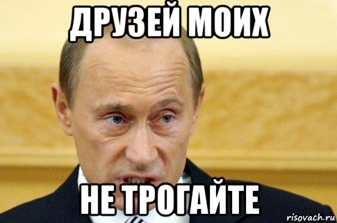 друзей моих не трогайте, Мем путин