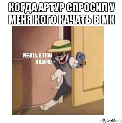 когда артур спросил у меня кого качать в мк , Мем Ребята я в этом шарю