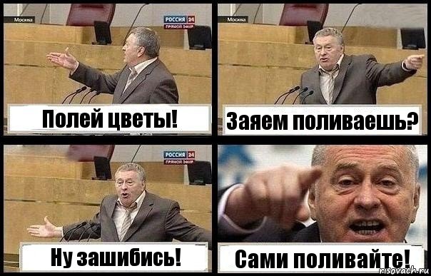 Полей цветы! Заяем поливаешь? Ну зашибись! Сами поливайте!, Комикс с Жириновским