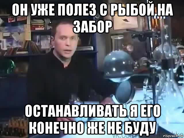 он уже полез с рыбой на забор останавливать я его конечно же не буду, Мем Сильное заявление