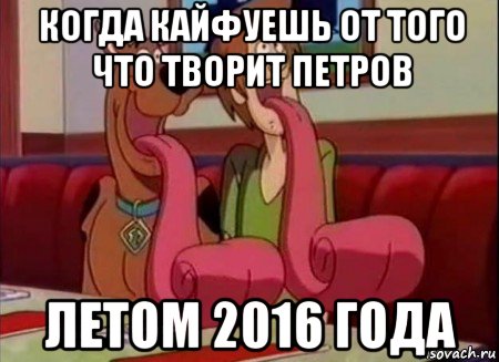 когда кайфуешь от того что творит петров летом 2016 года, Мем Скуби ду