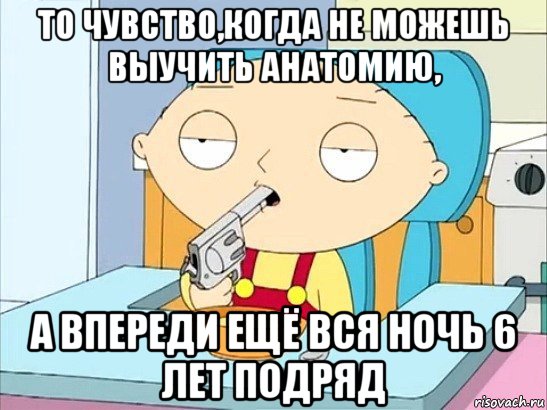 то чувство,когда не можешь выучить анатомию, а впереди ещё вся ночь 6 лет подряд, Мем Стьюи Гриффин хочет застрелиться