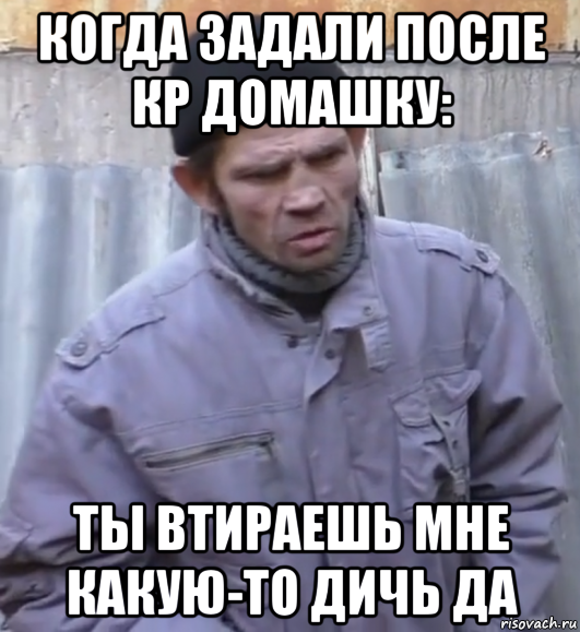 когда задали после кр домашку: ты втираешь мне какую-то дичь да, Мем  Ты втираешь мне какую то дичь