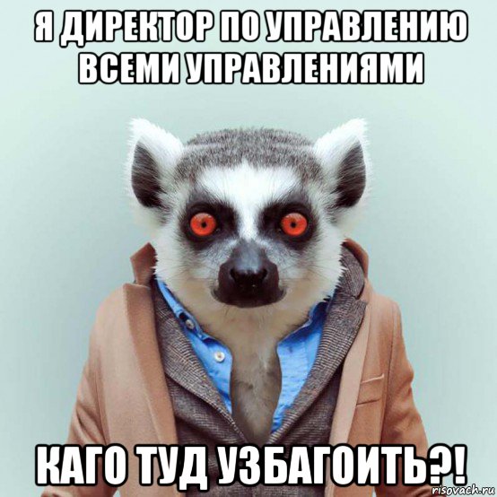 я директор по управлению всеми управлениями каго туд узбагоить?!, Мем укуренный лемур