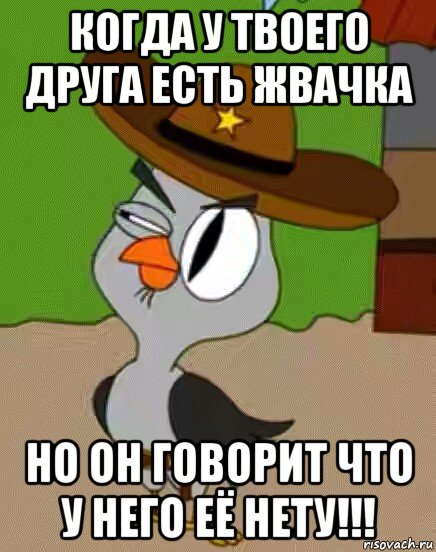 когда у твоего друга есть жвачка но он говорит что у него её нету!!!, Мем    Упоротая сова