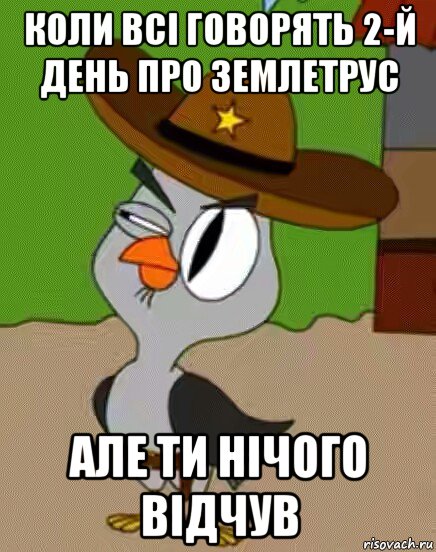 коли всі говорять 2-й день про землетрус але ти нічого відчув, Мем    Упоротая сова