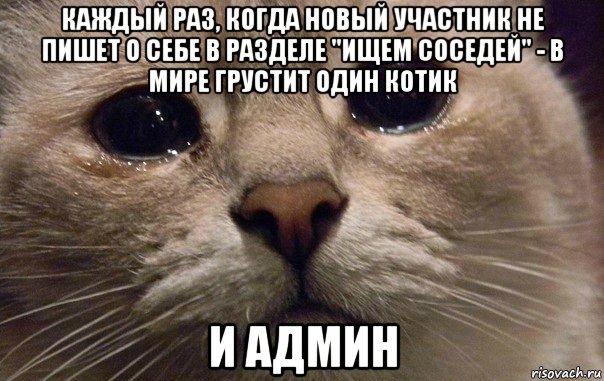 каждый раз, когда новый участник не пишет о себе в разделе "ищем соседей" - в мире грустит один котик и админ, Мем   В мире грустит один котик