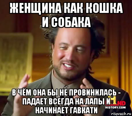 женщина как кошка и собака в чём она бы не провинилась - падает всегда на лапы и начинает гавкати