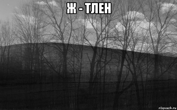 ж - тлен , Мем безысходность тлен боль