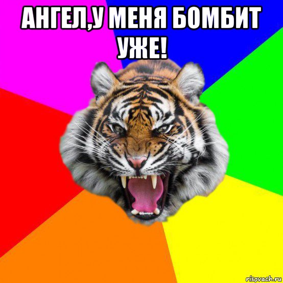 Дерзко мем. Здравствуйте тигр очень приятно тигр Мем. У меня уже бомбит. Спасибо и вас Тигренок Мем. Ты не ангел но для меня ты стала Святой Мем.