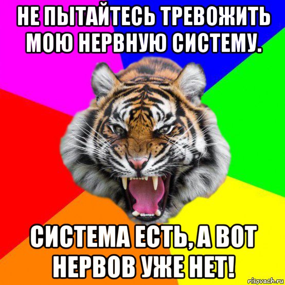 не пытайтесь тревожить мою нервную систему. система есть, а вот нервов уже нет!, Мем  ДЕРЗКИЙ ТИГР