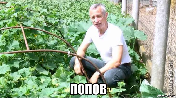  попов