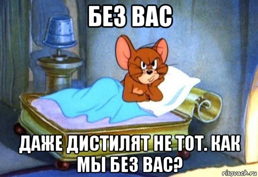 без вас даже дистилят не тот. как мы без вас?