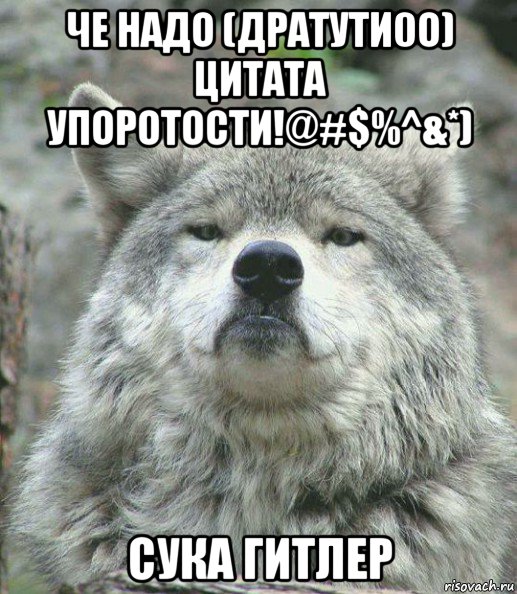 че надо (дратути0о) цитата упоротости!@#$%^&*) сука гитлер, Мем    Гордый волк