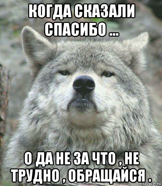 когда сказали спасибо ... о да не за что , не трудно , обращайся ., Мем    Гордый волк