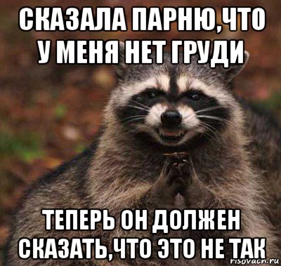 сказала парню,что у меня нет груди теперь он должен сказать,что это не так, Мем  Хитрый енот