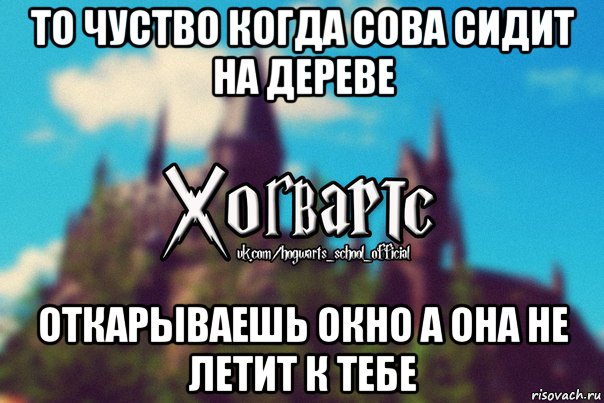 то чуство когда сова сидит на дереве откарываешь окно а она не летит к тебе, Мем Хогвартс