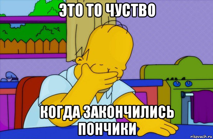 это то чуство когда закончились пончики, Мем Homer simpson facepalm