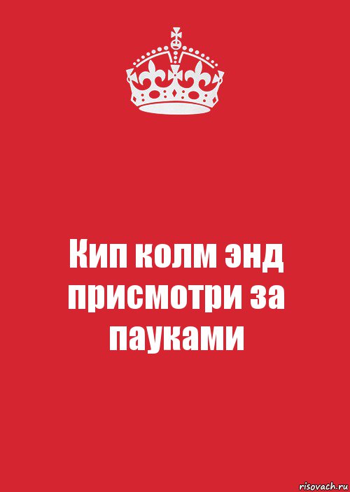 Кип колм энд присмотри за пауками, Комикс Keep Calm 3