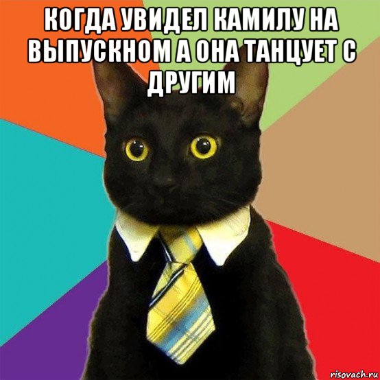 когда увидел камилу на выпускном а она танцует с другим , Мем  Кошечка