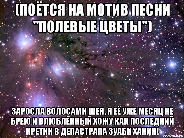 (поётся на мотив песни "полевые цветы") заросла волосами шея, я её уже месяц не брею и влюблённый хожу как последний кретин в депастрапа зуаби ханин!, Мем Космос